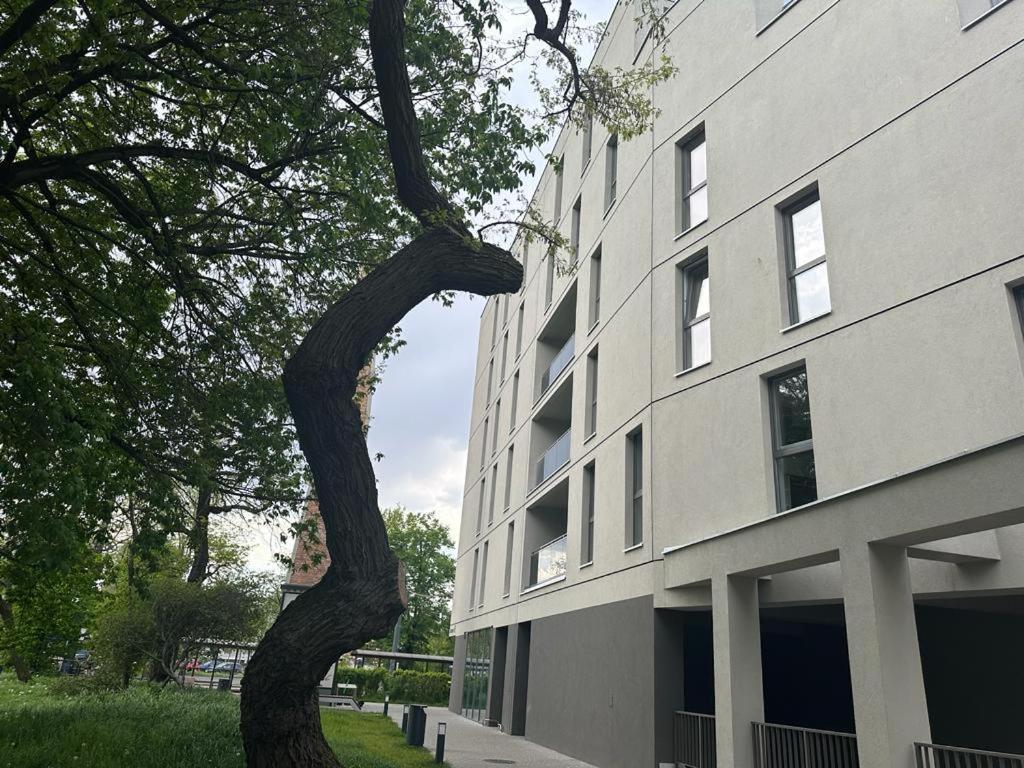 Apartament Centrum II บิดกอชซ์ ภายนอก รูปภาพ